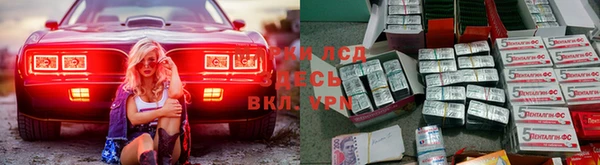 спиды Алзамай