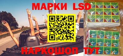 apvp Кунгур
