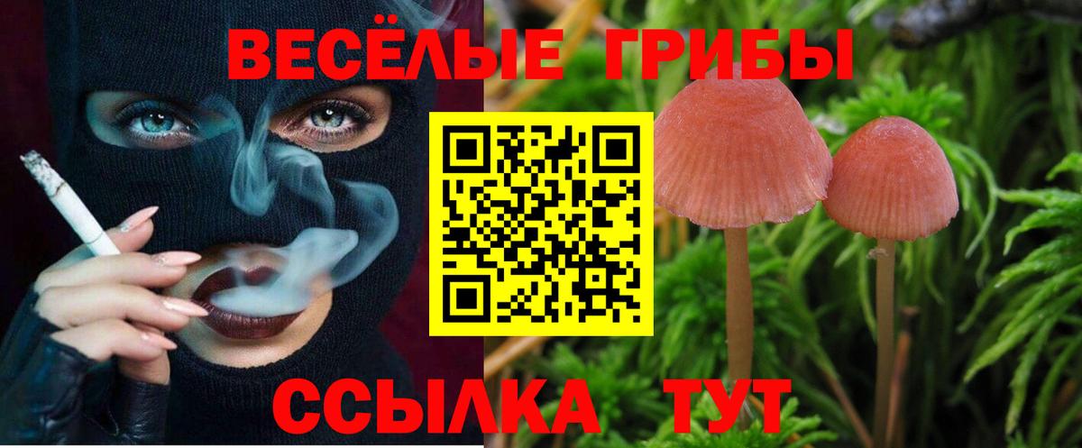 Псилоцибиновые грибы мухоморы Еманжелинск